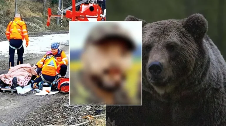 ZDROJ: https://www.infozona.sk/spravodajstvo/tomas-bojoval-pri-fotopasci-o-zivot-napadol-ho-200-kilovy-medved-nedal-mu-ziadnu-sancu-na-reakciu/2/