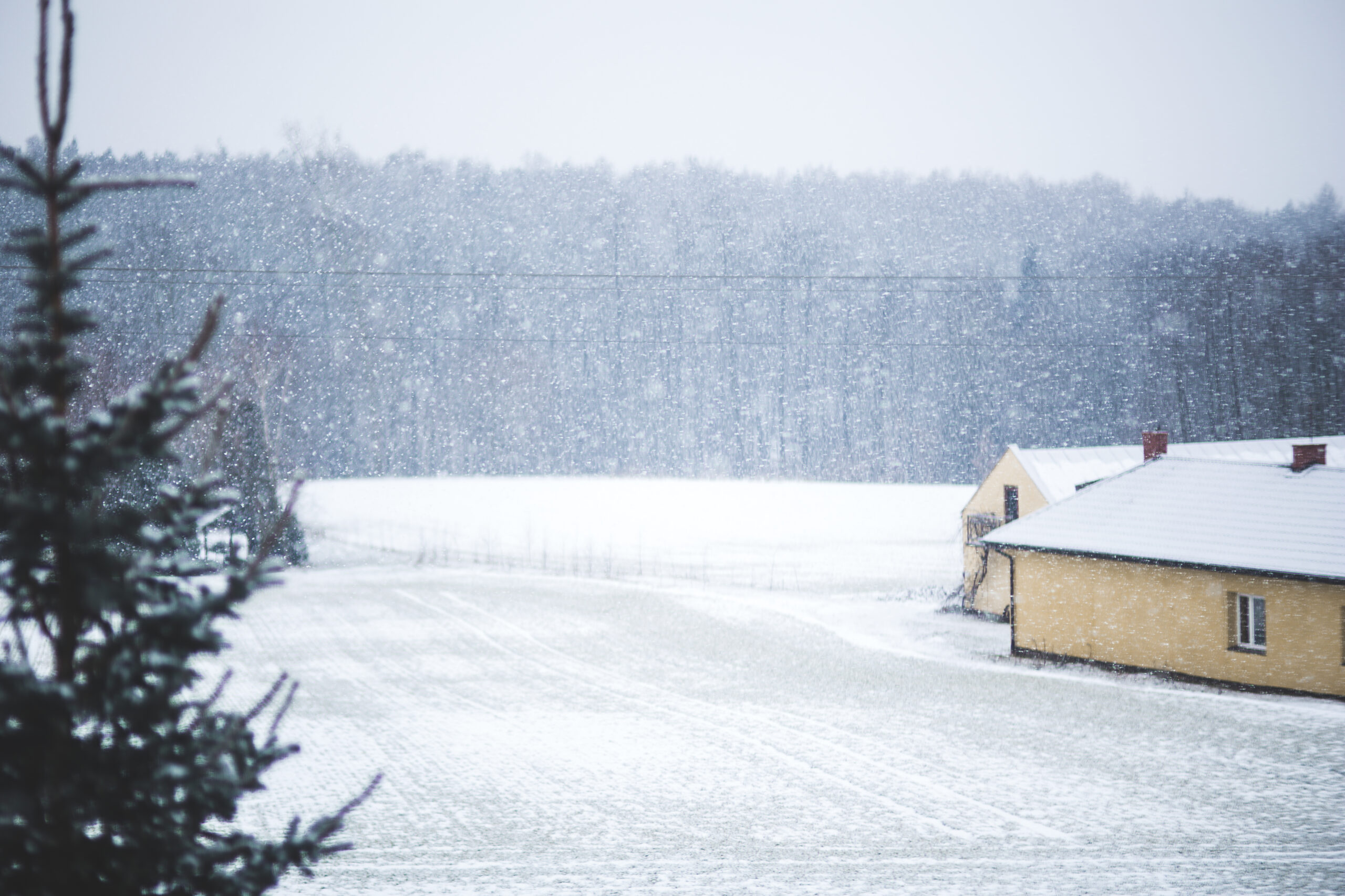 Počasie. Zdroj foto: freepik.com