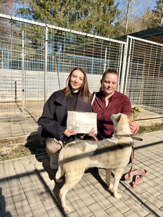 ZDROJ: Humenné MsÚ, www.humenne.sk