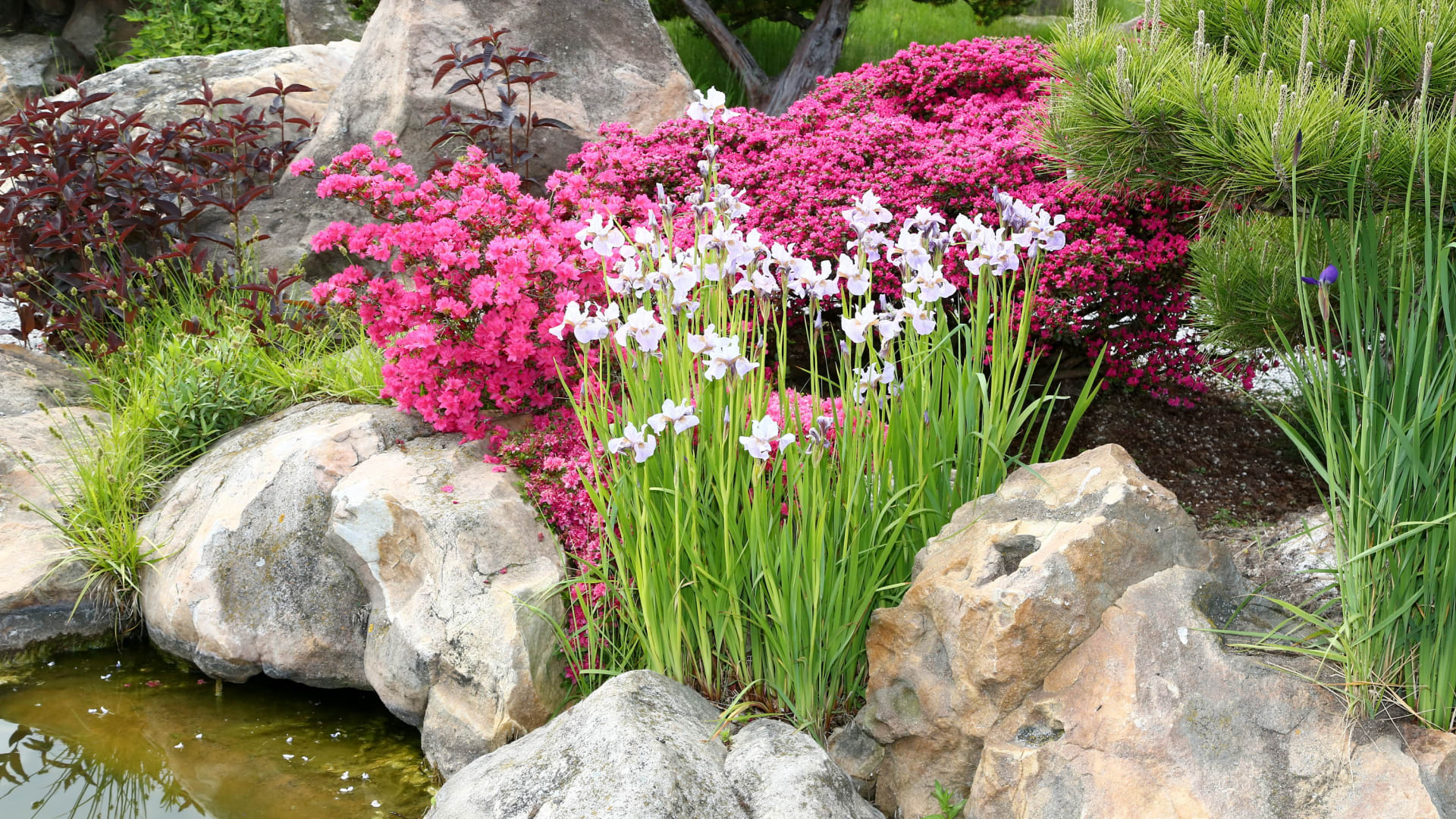 ZDROJ: Humenné MsÚ, www.humenne.sk