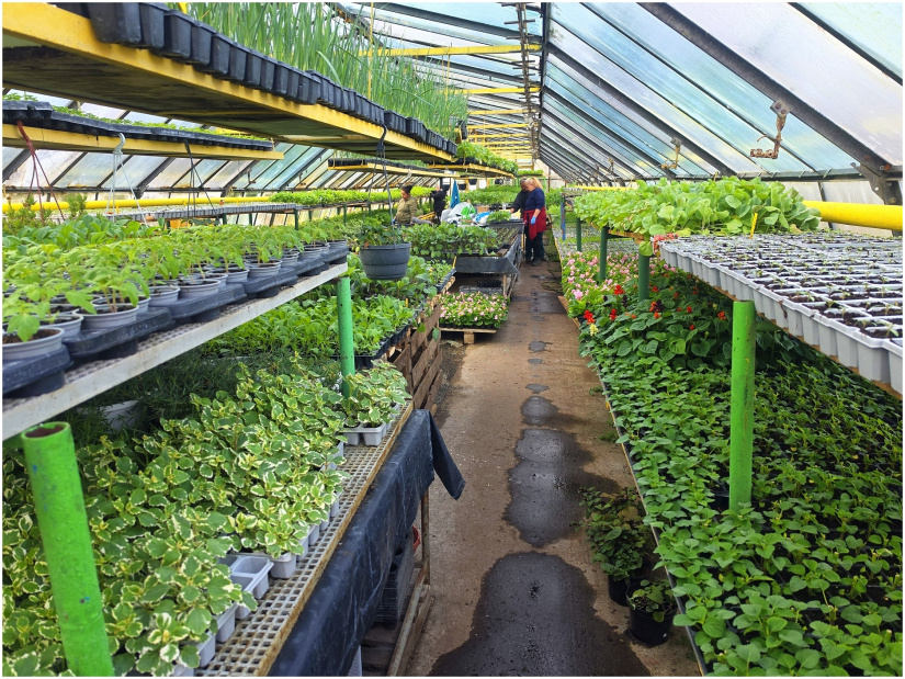 ZDROJ: Humenné MsÚ, www.humenne.sk