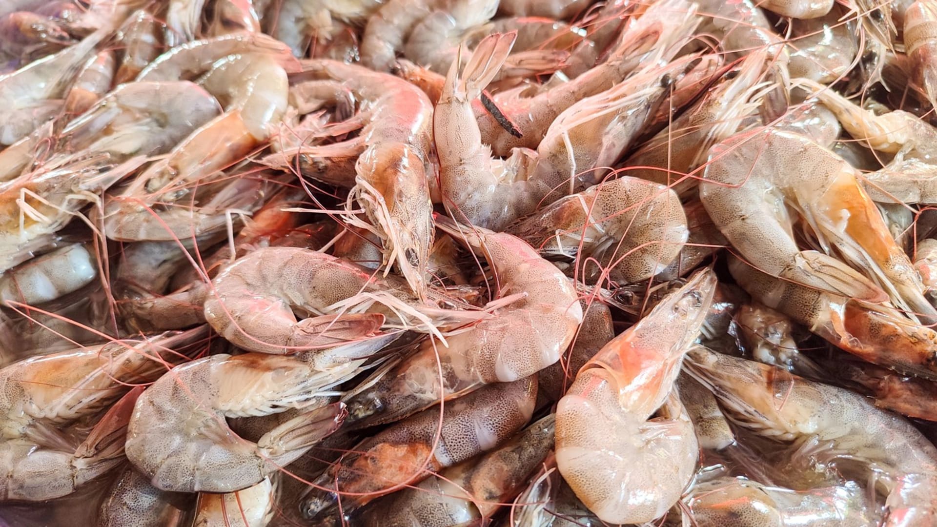 ZDROJ: Humenné MsÚ, www.humenne.sk