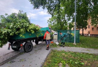 ZDROJ: Humenné MsÚ, www.humenne.sk